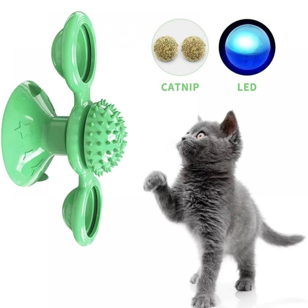 Cat Toy Turntable Cat Toys Cat Toys for Indoor Cats Best Sellers Cat T Gee Pets